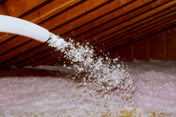 Best Commercial Insulation in Pickens, MS