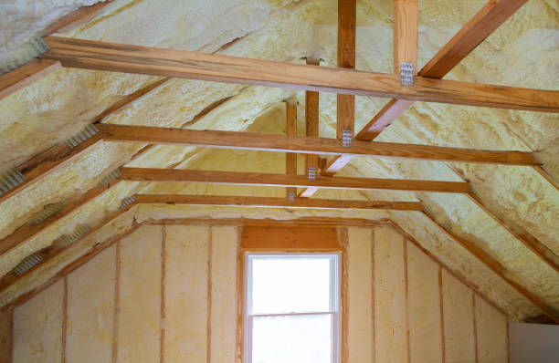 Best Insulation Installation Services in Pickens, MS