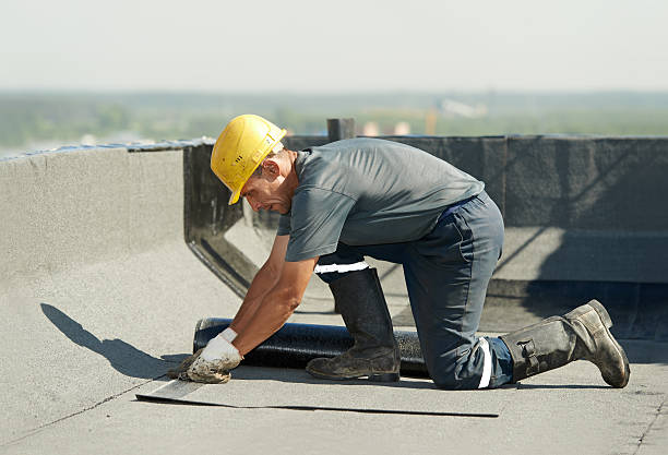 Best Specialty Insulation in Pickens, MS